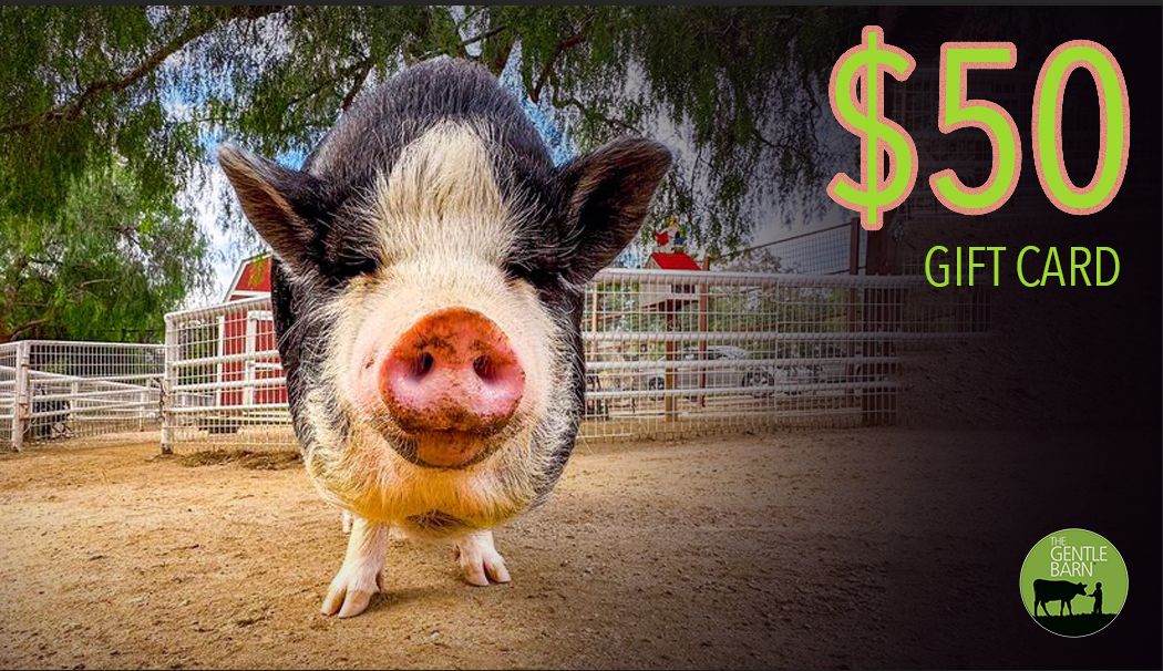 Gentle Barn eStore Gift Card - Click to choose your card image and Denominations
