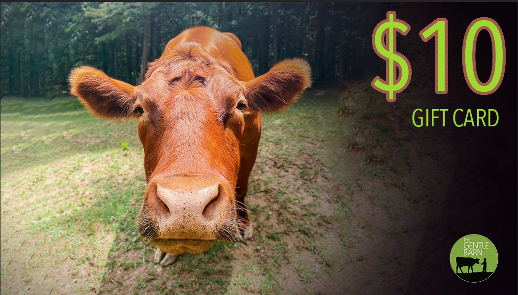 Gentle Barn eStore Gift Card - Click to choose your card image and Denominations