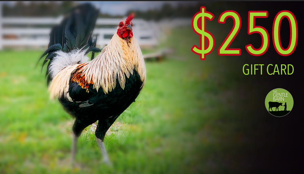 Gentle Barn eStore Gift Card - Click to choose your card image and Denominations