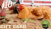 Gentle Barn eStore Gift Card - Click to choose your card image and Denominations