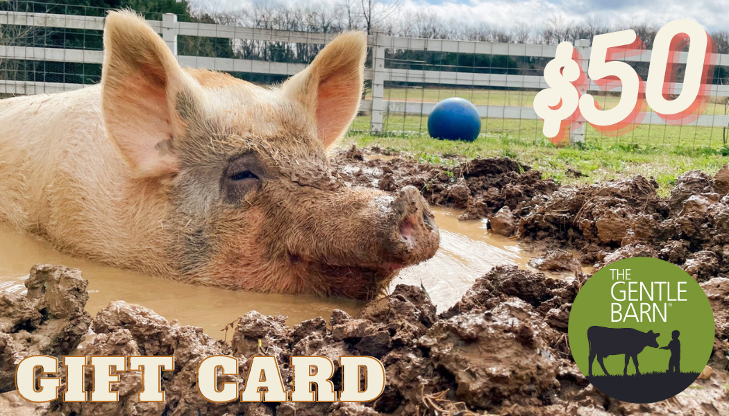 Gentle Barn eStore Gift Card - Click to choose your card image and Denominations