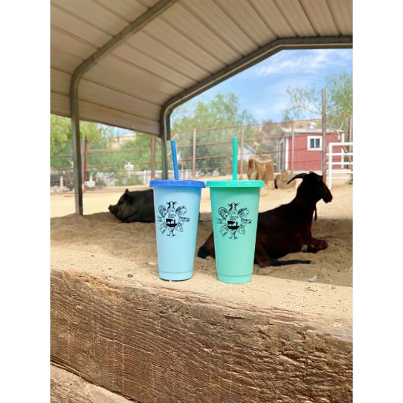 Kids' Color-Changing Cup