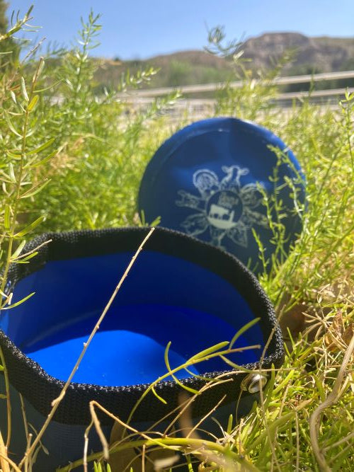 Gentle Barn Pet Travel Bowl