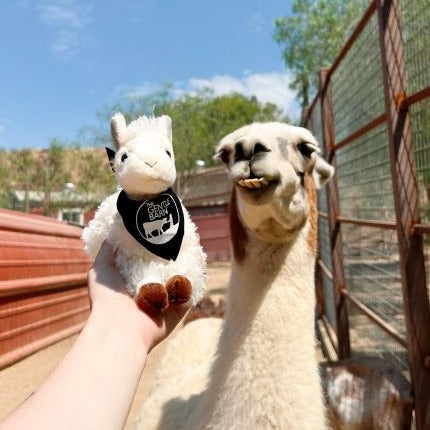 Gentle Barn Llama Plush