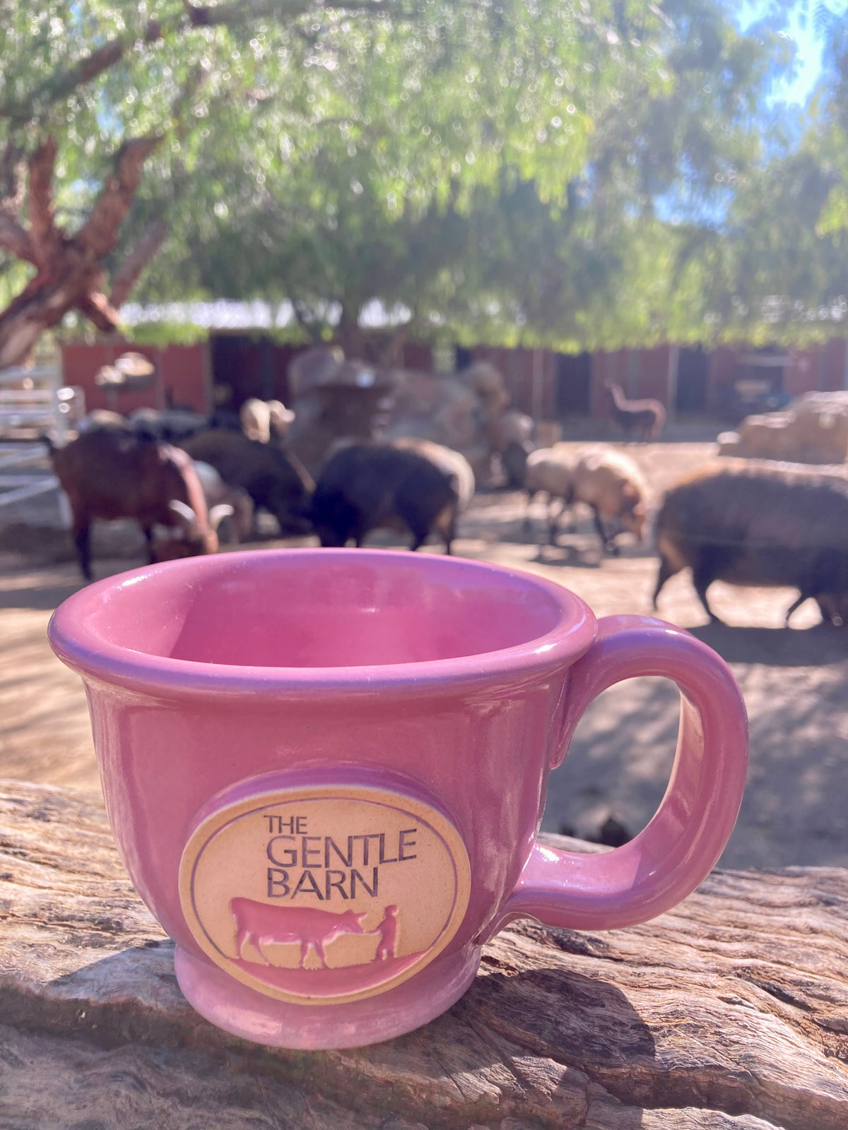 Limited Edition Pink Passion Gentle Barn Stoneware Mug