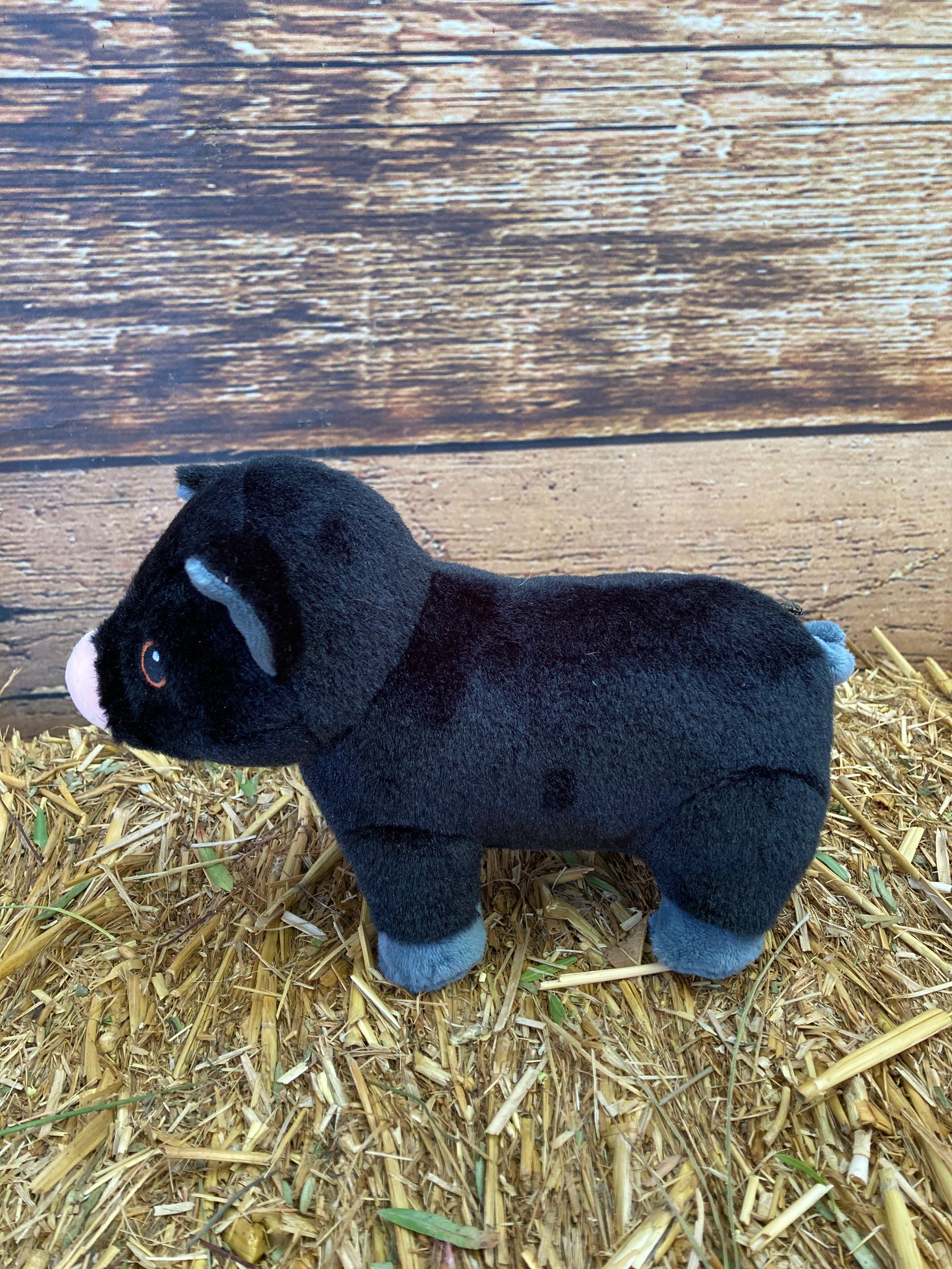 7" Black Plush Pig
