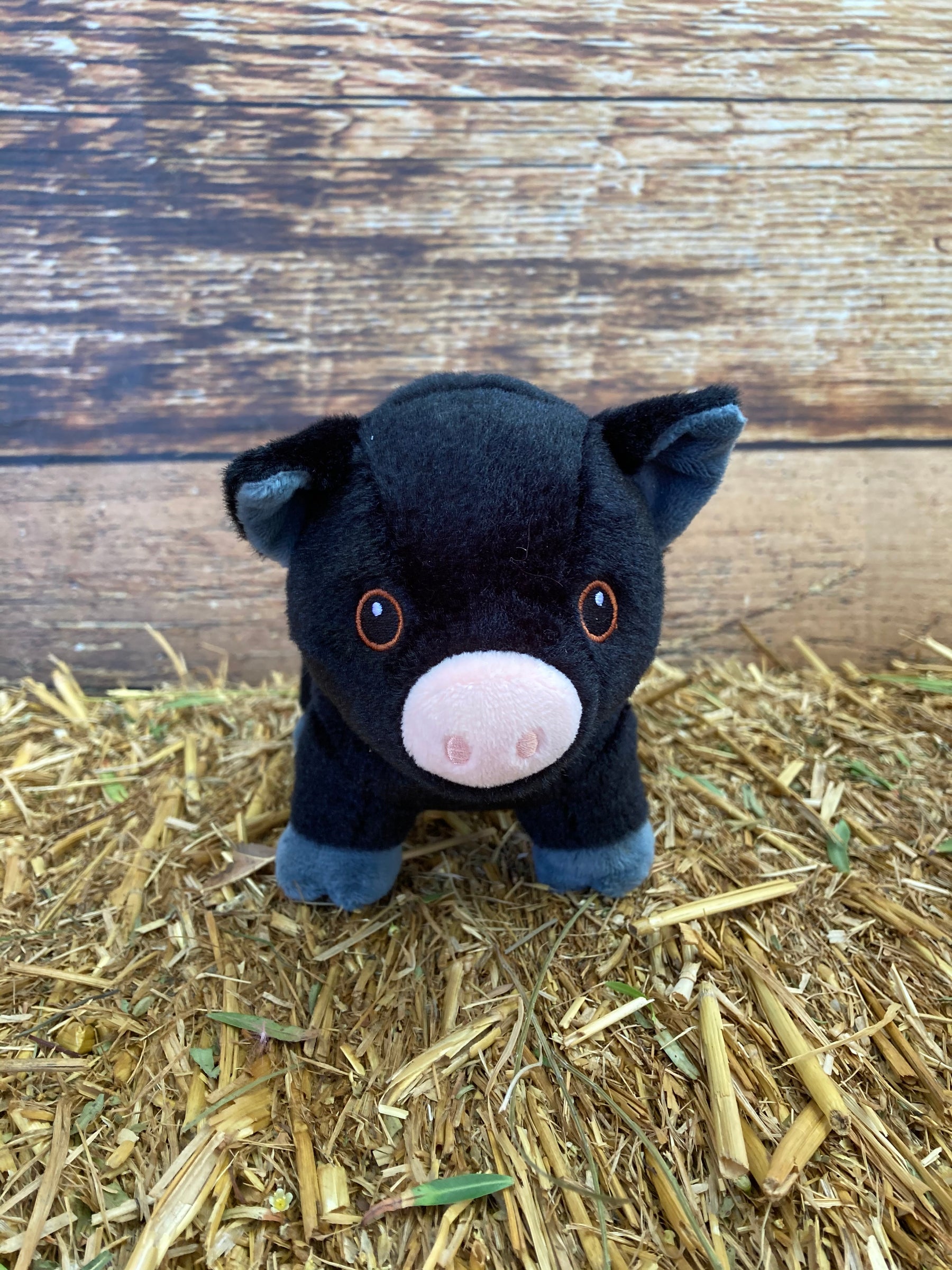 7" Black Plush Pig