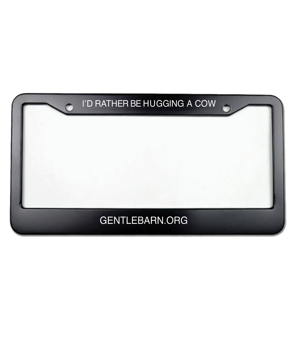License Plate Frame - Black Aluminum