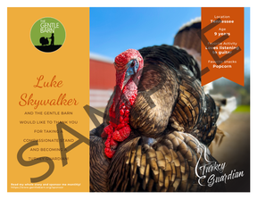 Our Amazing Gentle Barn Flock: Turkeys from all of our locations