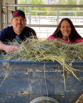 Bale of Hay - $25 ea