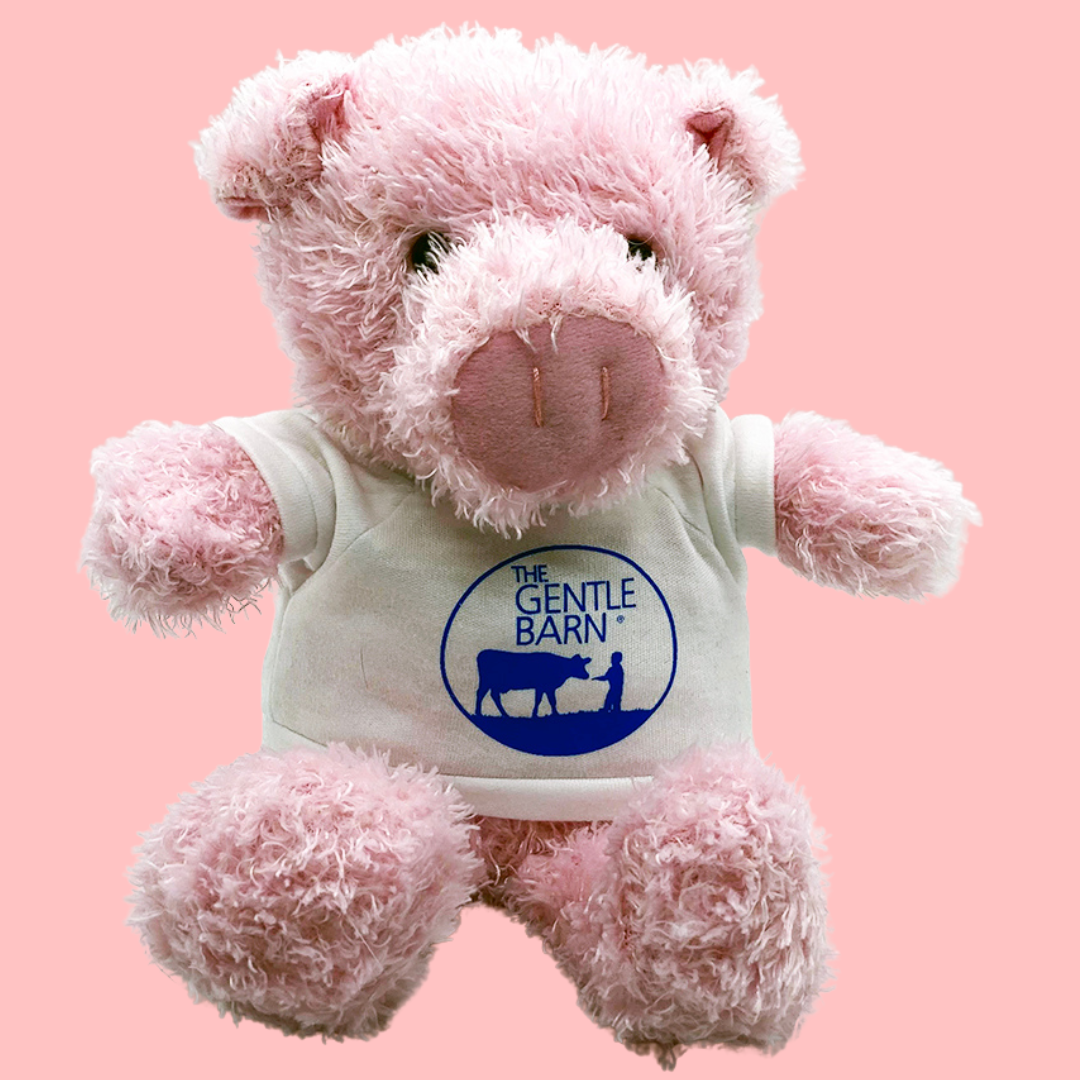 Pig plush