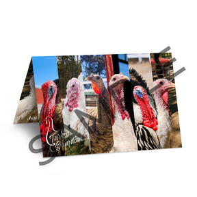 Flock Plus: Our Amazing Gentle Barn Flock: Turkeys from all of our locations