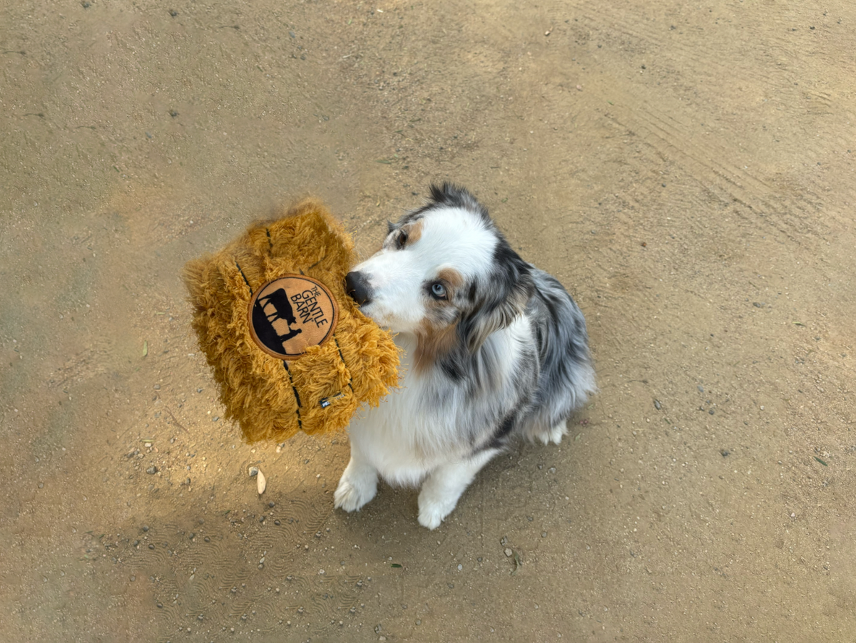 Dog Toy (Bale of hay)