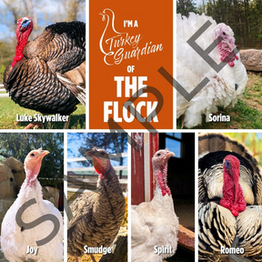 Flock Plus: Our Amazing Gentle Barn Flock: Turkeys from all of our locations