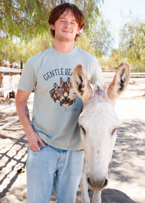 Gentle Hearts Donkey
