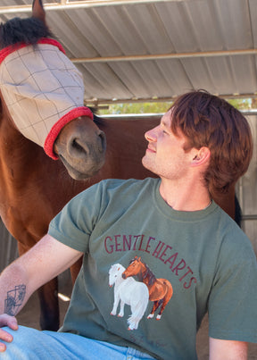 Gentle Hearts Horses