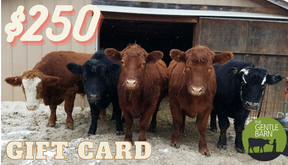 Gentle Barn eStore Gift Card - Click to choose your card image and Denominations