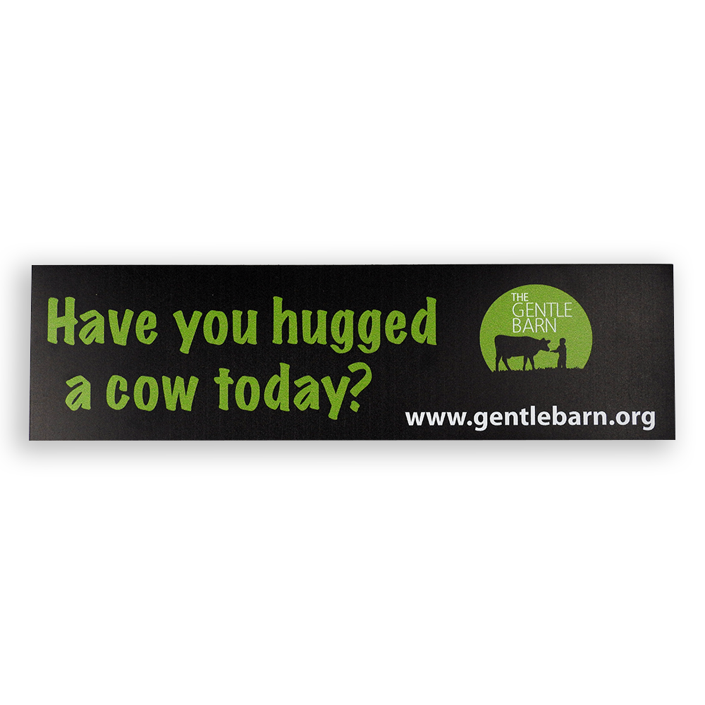 Gentle Barn Magnet: Have you hugged a cow today?
