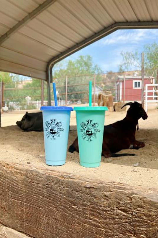 Kids' Color-Changing Cup