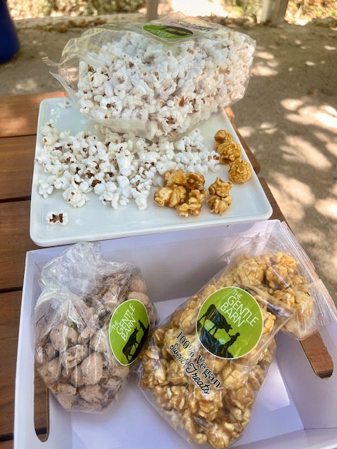 Gentle Barn Gourmet Popcorn & Nuts Gift Box