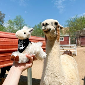 Gentle Barn Llama Plush