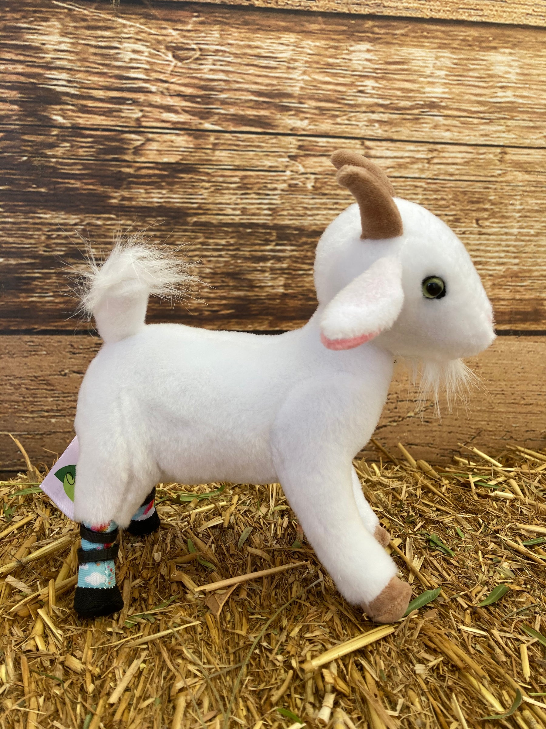 Lolli - 8" Plush Goat with Prosthetics