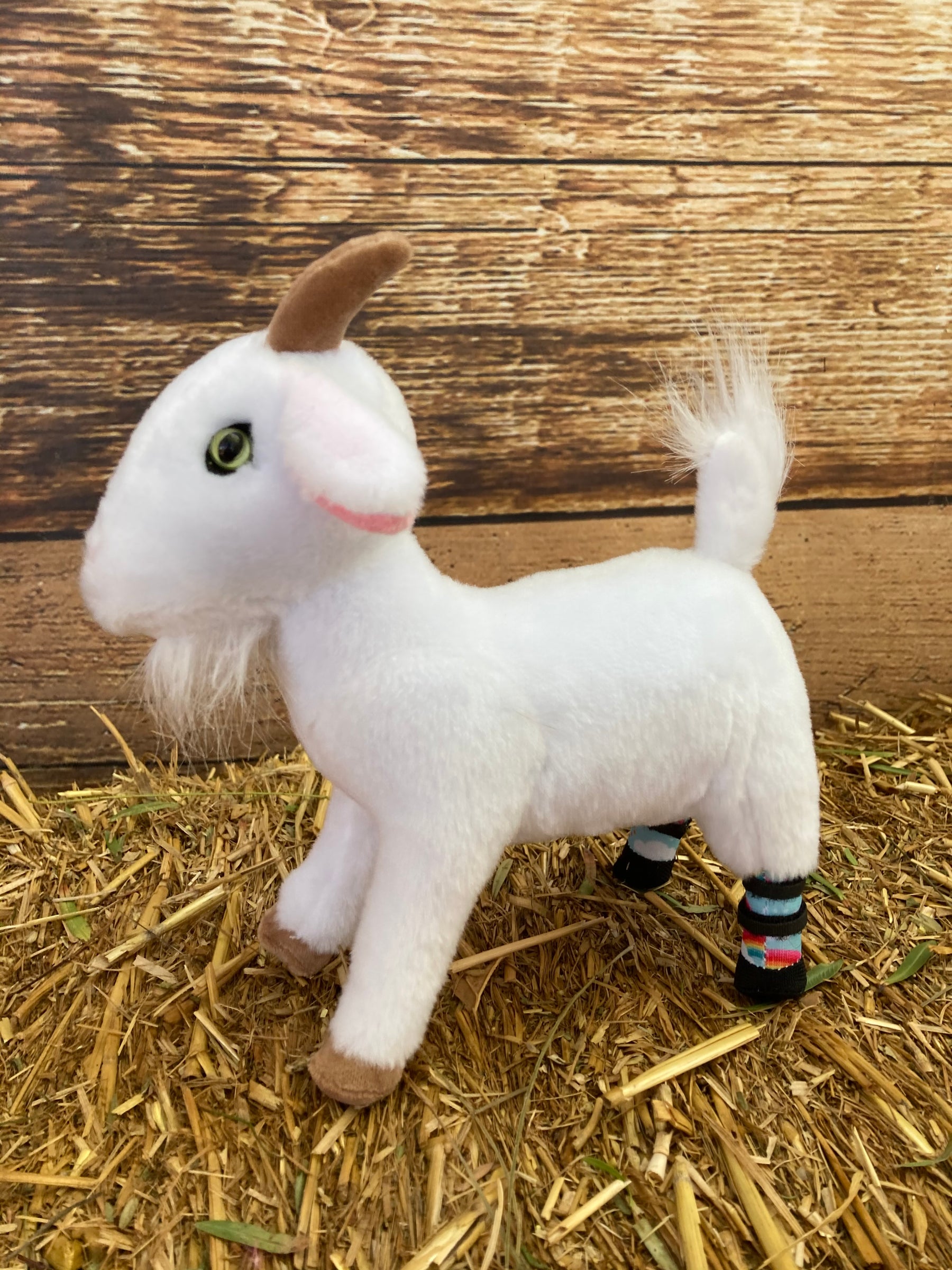 Lolli - 8" Plush Goat with Prosthetics